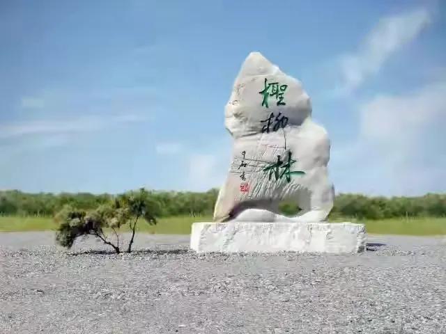 “南红北柳”在全国叫响一一全国海洋生态品牌现场会在山东召开