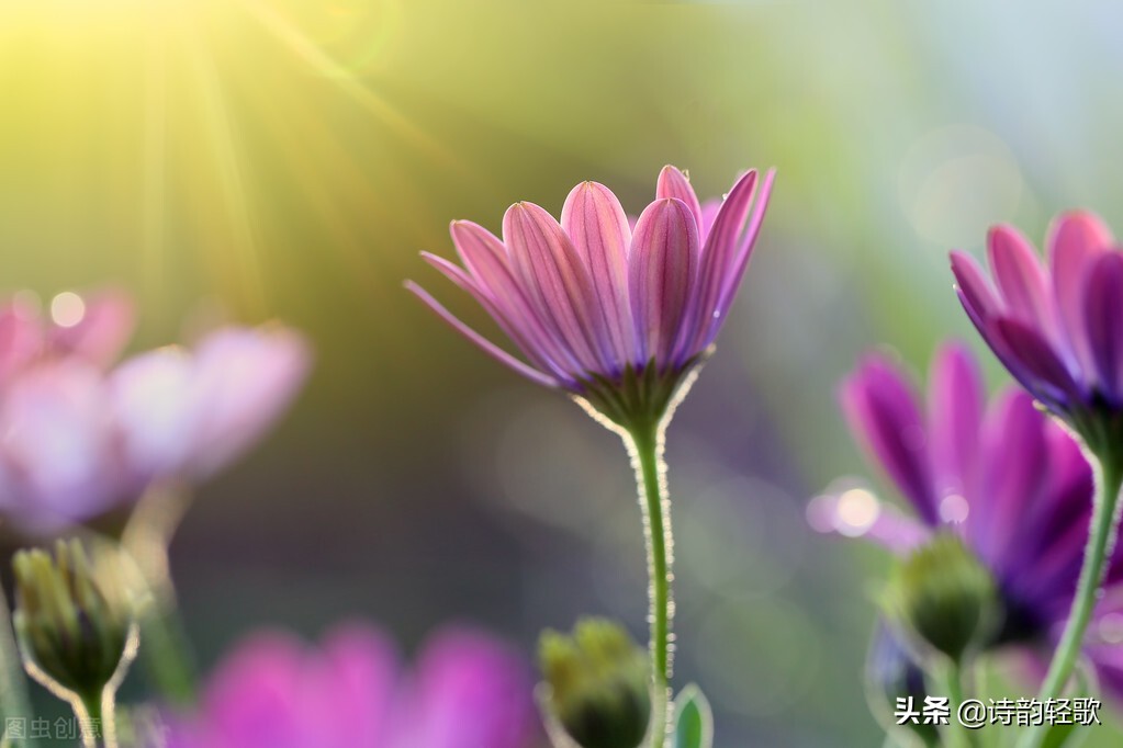 盘点我做自媒体三年的成就，说说我的成长心路历程和做法
