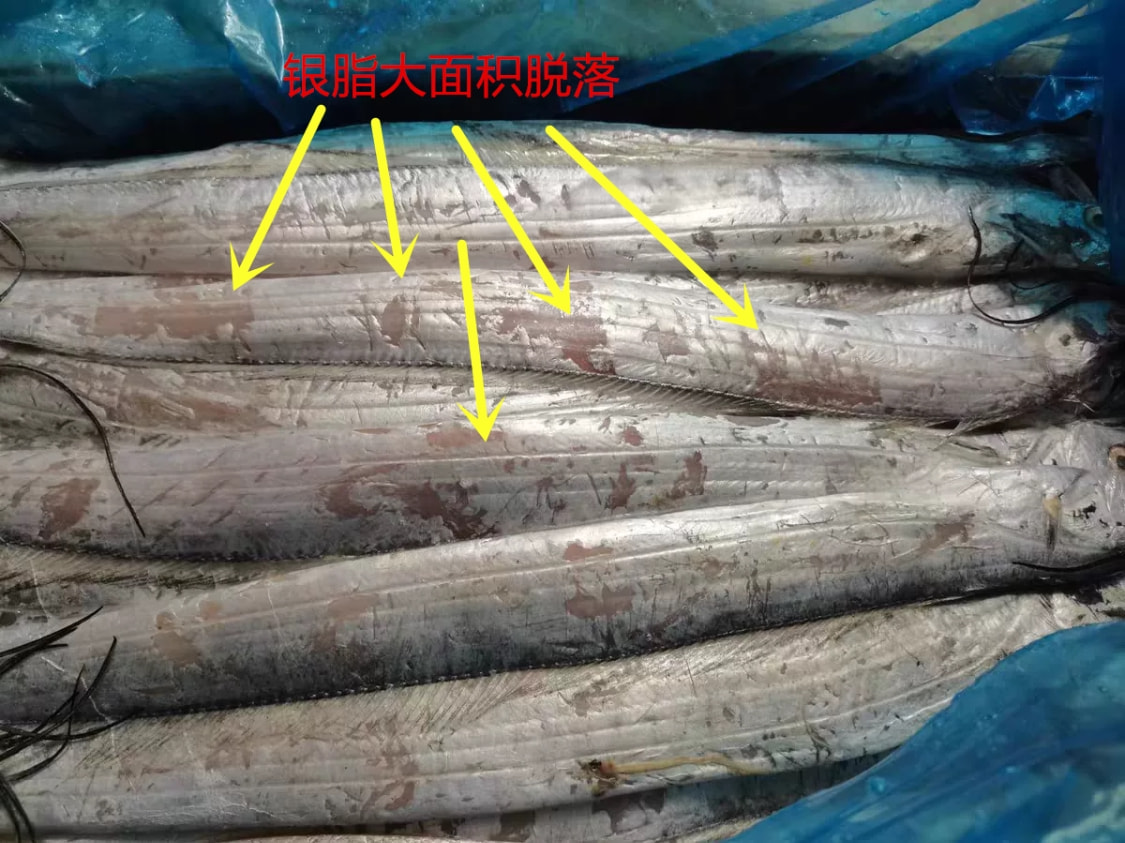买带鱼，选“黄眼睛还是黑眼睛”的？牢记3不买，挑选带鱼简单了