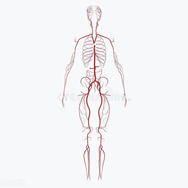 发现颈动脉斑块怎么办？能消除吗？心血管医生告诉你
