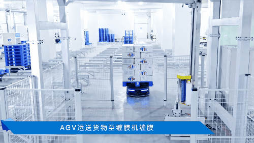 极智嘉携手盈智科技率先落地无人化港口冷链智慧仓