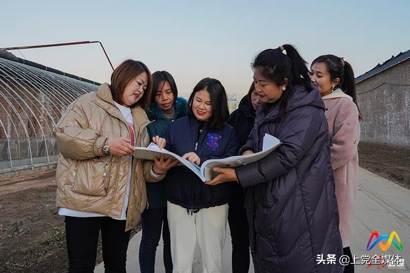 委员风采丨铿锵玫瑰的“中医药大健康产业梦”