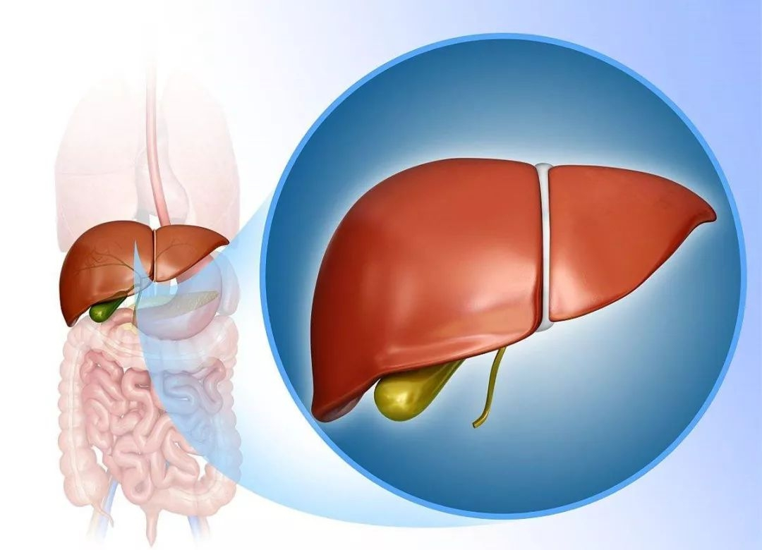 为什么吃药会伤肝？口服药会伤肝，外用药不会伤肝吗？医生告诉你