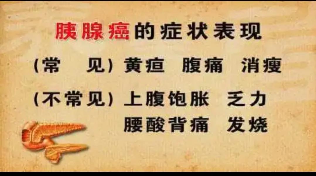 腹痛、消化不良不一定是老胃病，可能胰腺作怪，“癌王”什么特点