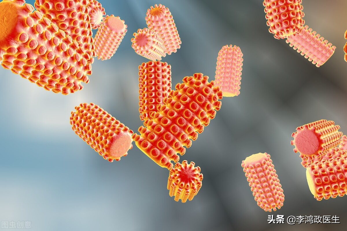 医生揭露狂犬病患者的恐水真相：病毒不进入血液，却能直击大脑