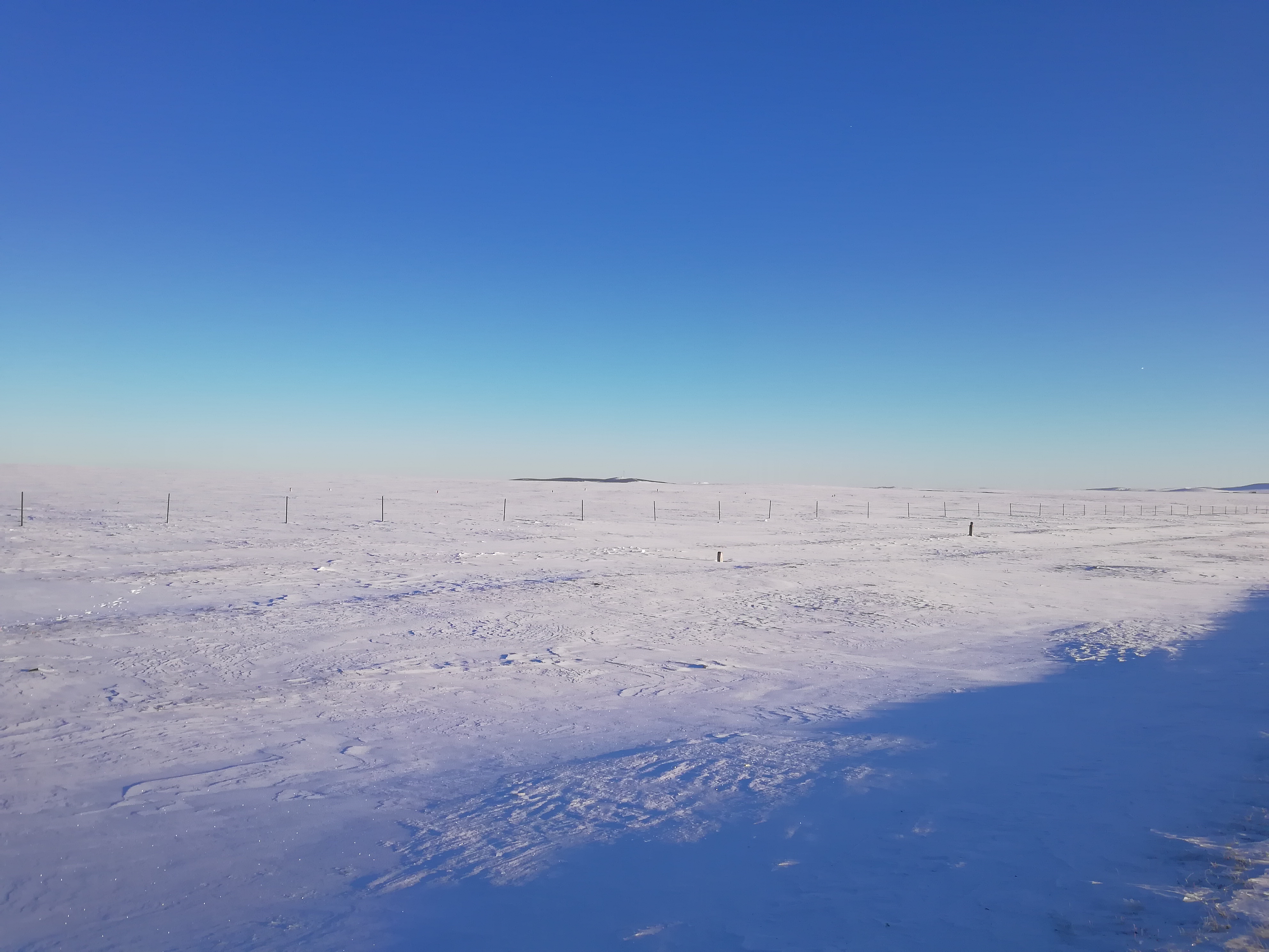 冬天的大草原风景图片图片