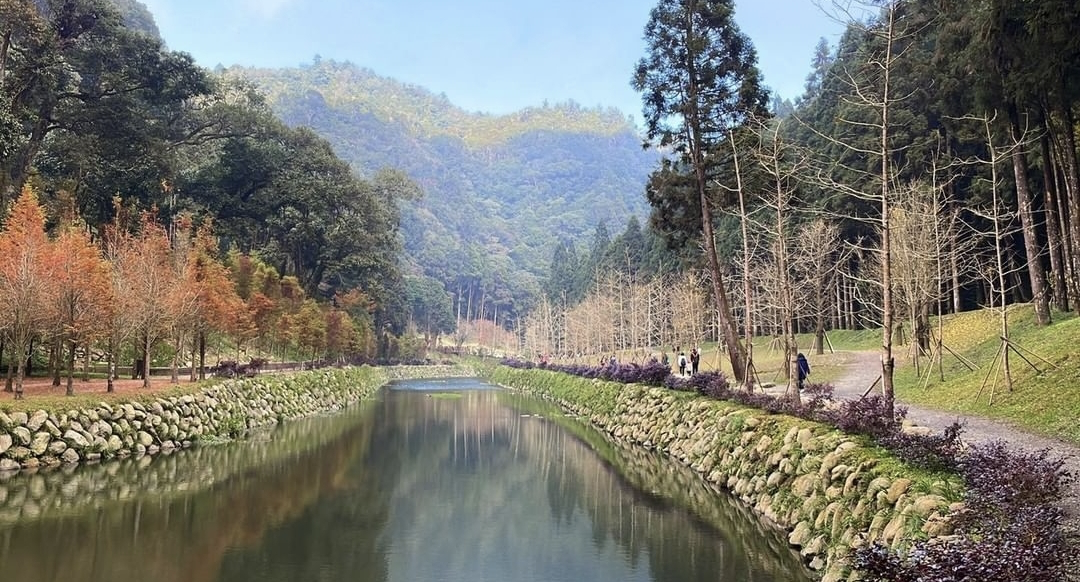 Ella带家人和员工度假，与劲宝DIY披萨，母子欢乐同框画风有爱