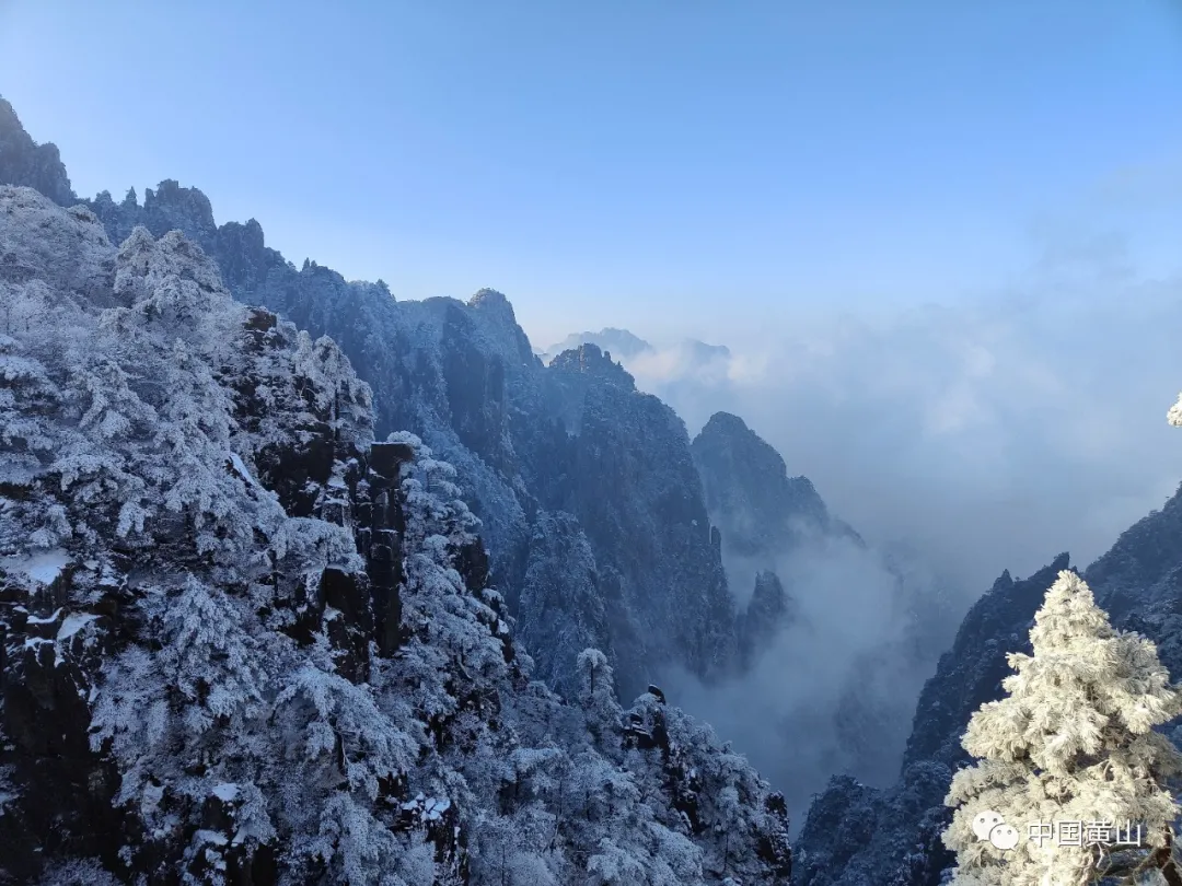 黄山雪后初霁,日出云海齐现美如仙境