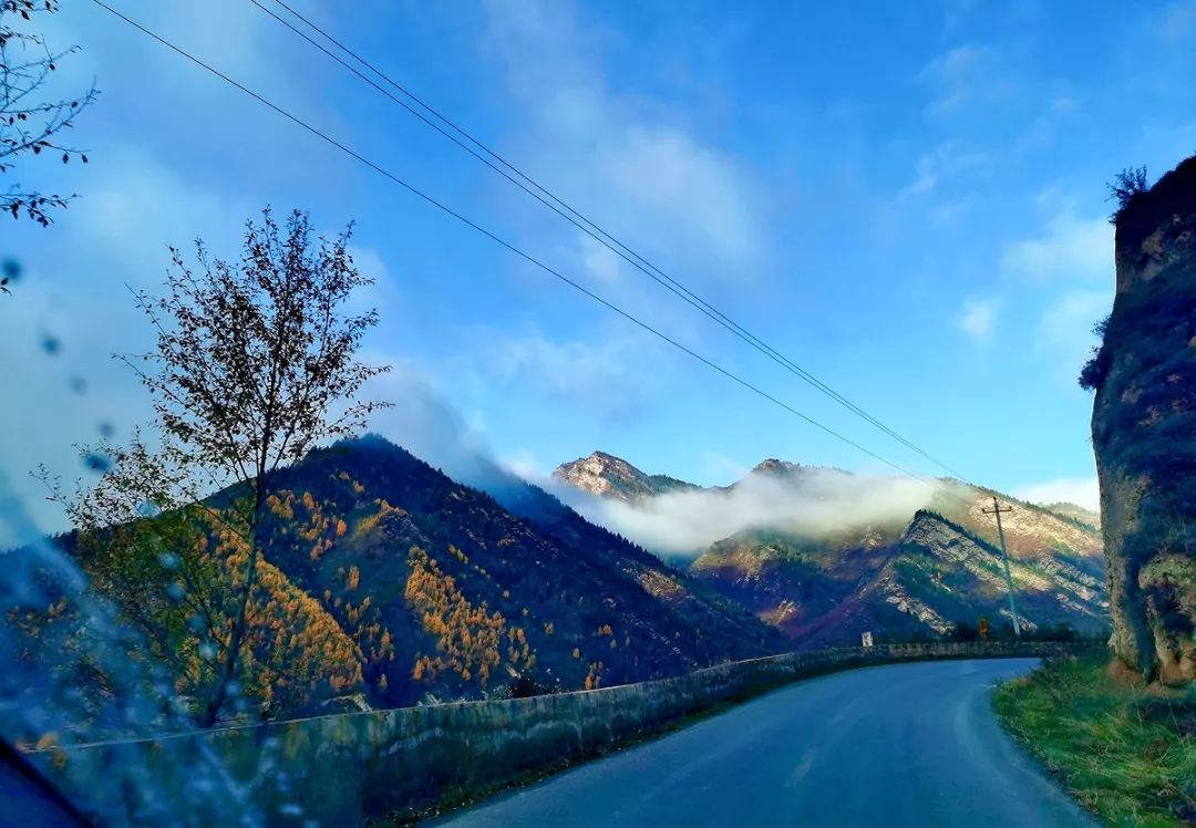 术布乡：耕好“河湖林路”责任田 守好“绿水青山”好家园