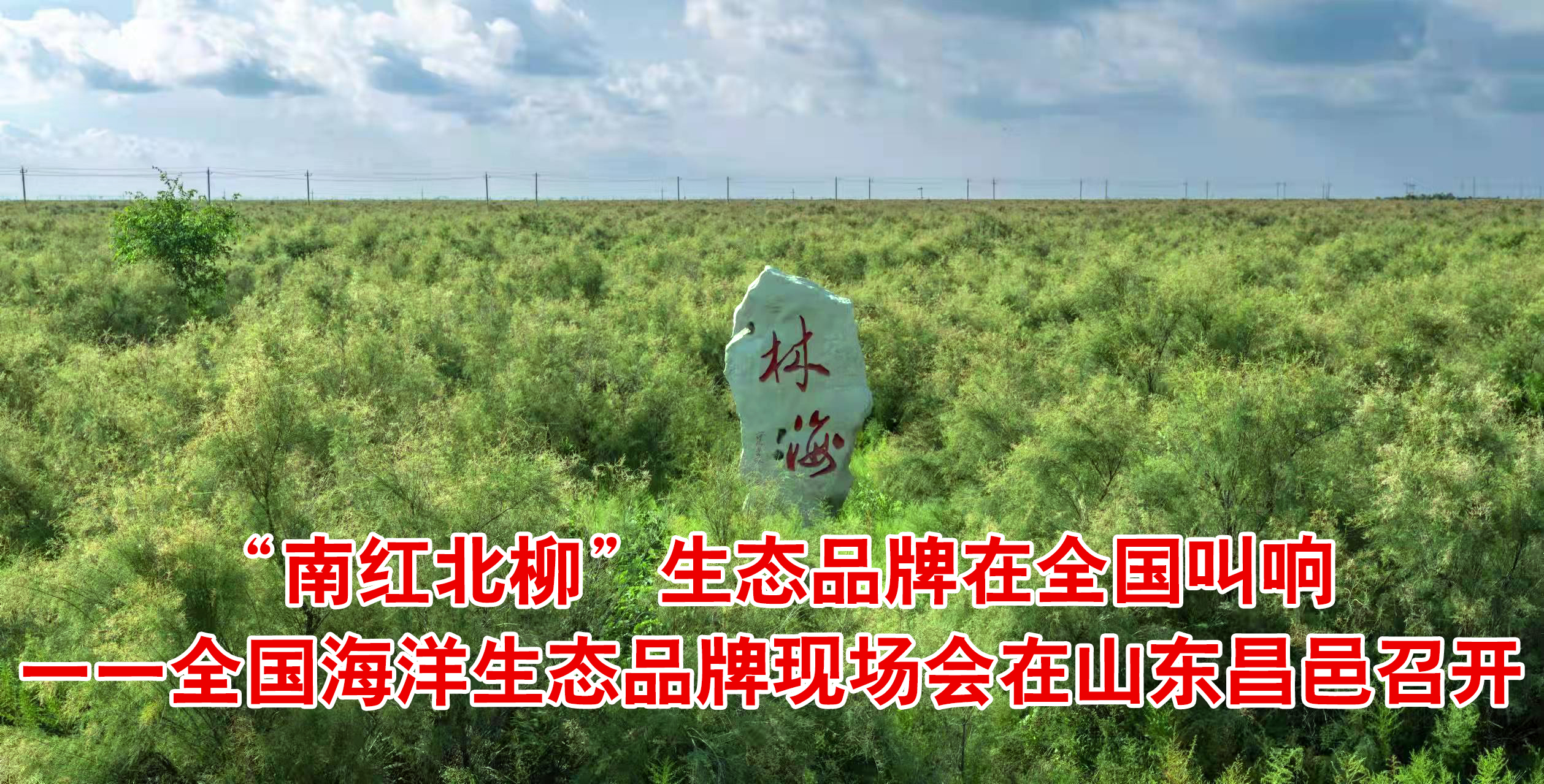 “南红北柳”在全国叫响一一全国海洋生态品牌现场会在山东召开