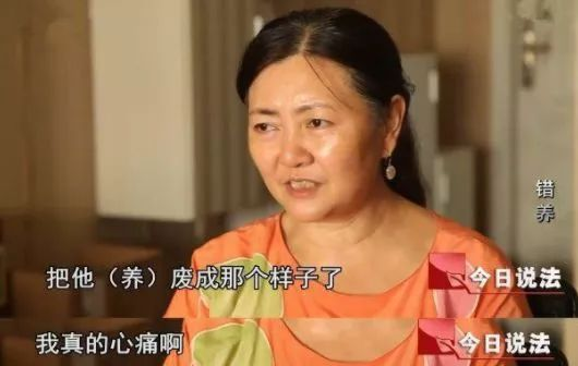 保姆偷走男童，26年后“良心发现”欲归还，亲母怒斥：就是想甩锅