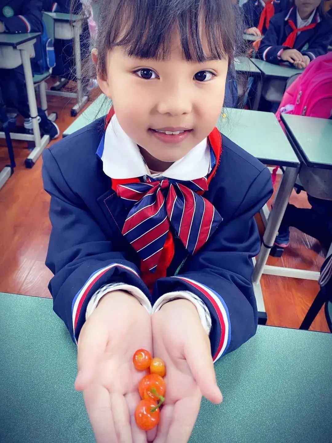 四川天府新区新兴小学劳动教育实施方案