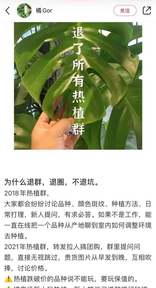 潮流圈开始“炒”植物了？花盆竟高达三四万