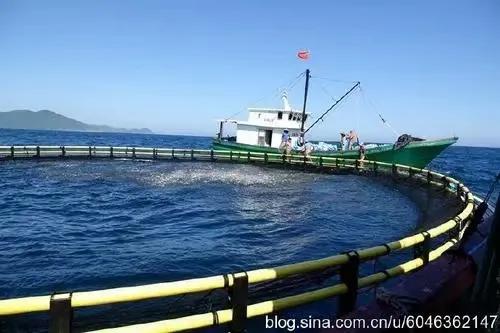 以“三湾一口”生态整治为重点，建设海洋生态文明