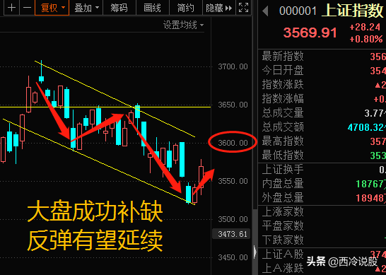 大盘大涨，却有3000多股下跌，二八分化？百股跌停，医药股跌惨了