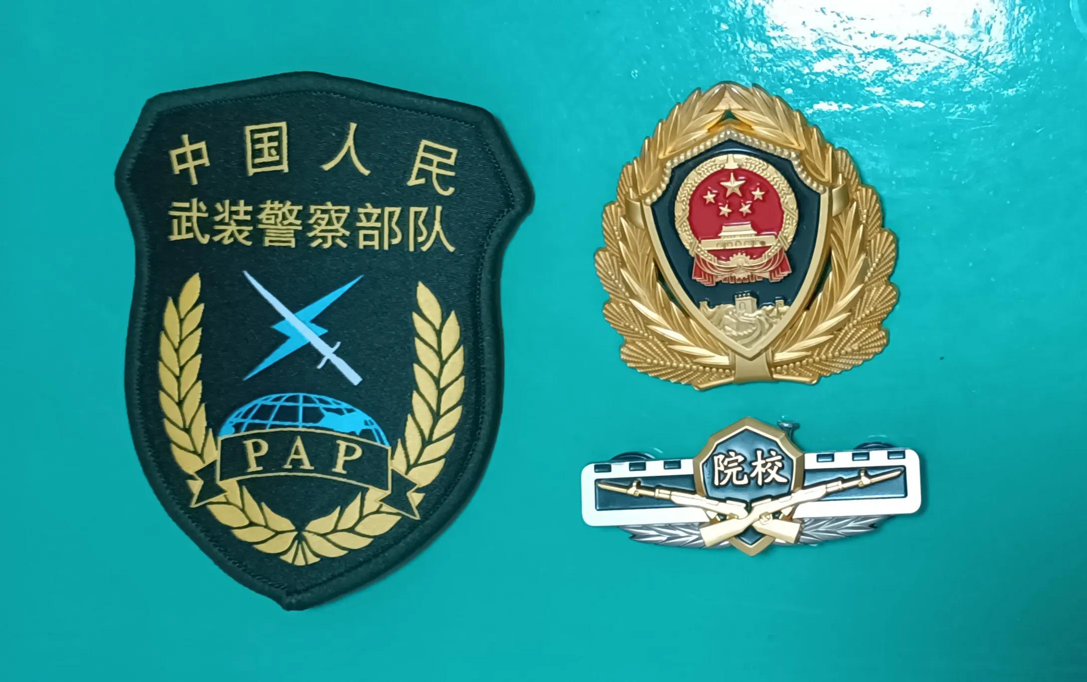 16式武警"pap"臂章10,武警"飞行"臂章:16式武警"飞行"臂章附:地方武警