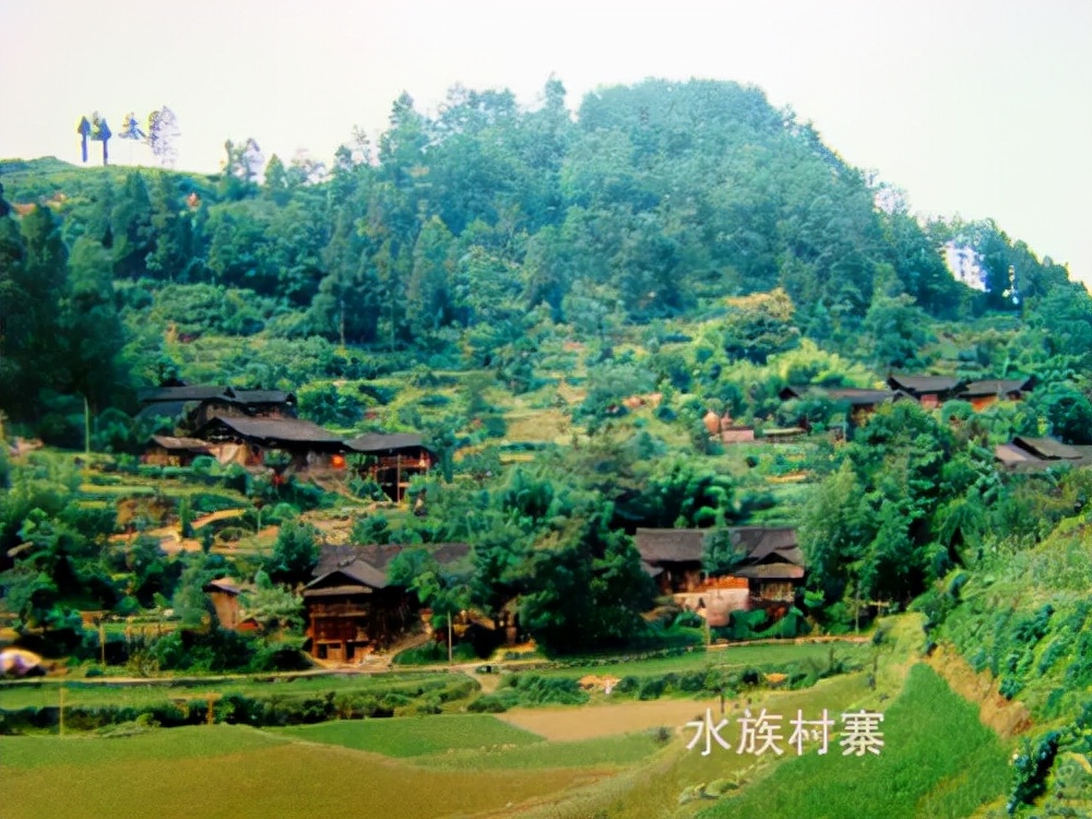 民族采风：贵州三都水族歌舞拍摄记（图）