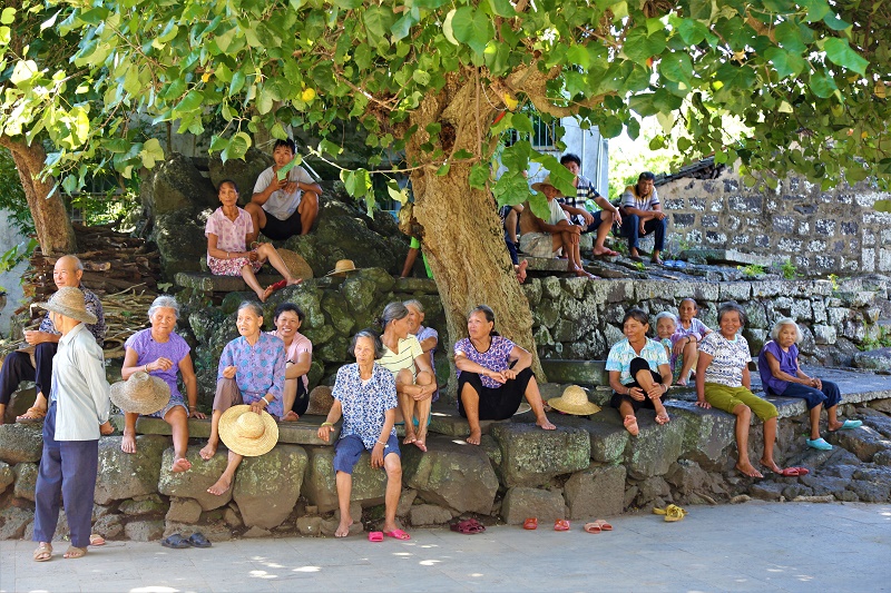 乡土散文:相聚在香樟树下