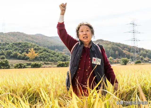韩影《哦!文姬》突然定档!过去六年我们还错过了这些电影