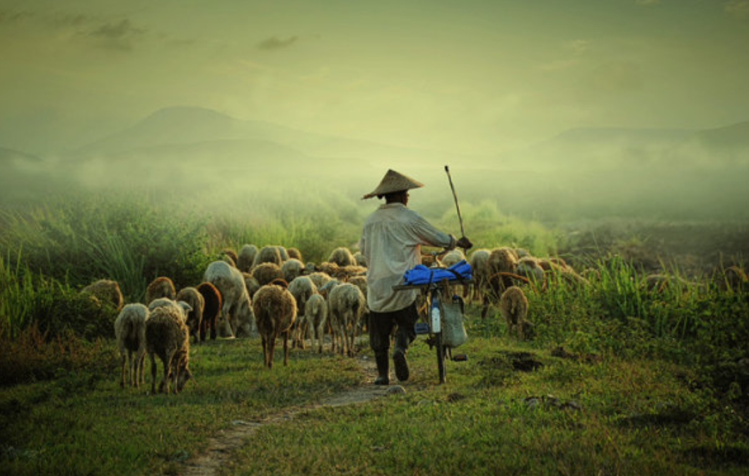 自媒体下一波趋势将会淘汰谁？