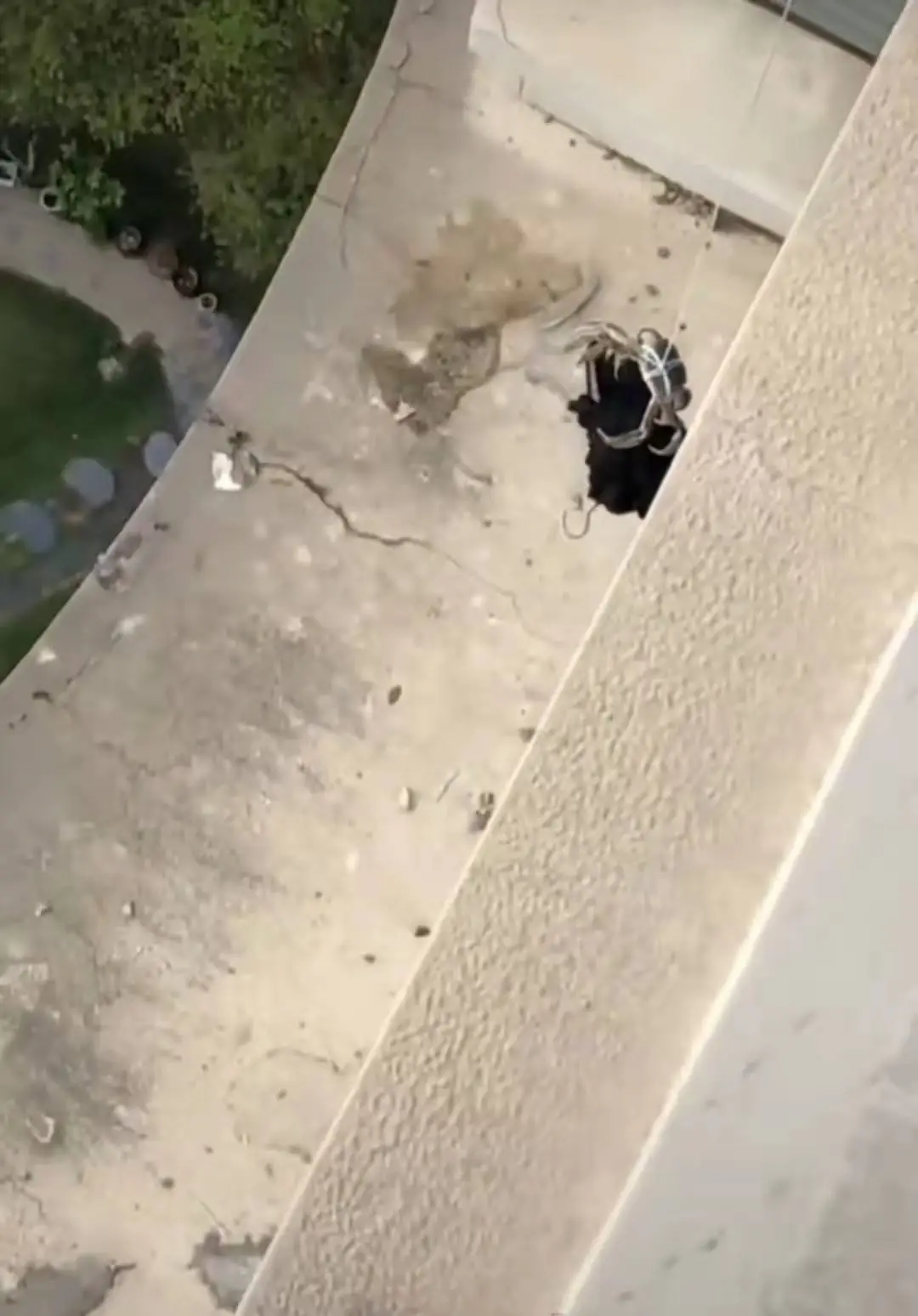 衣服被风吹落阳台，男子用绳子吊着大闸蟹夹起，网友：放生它