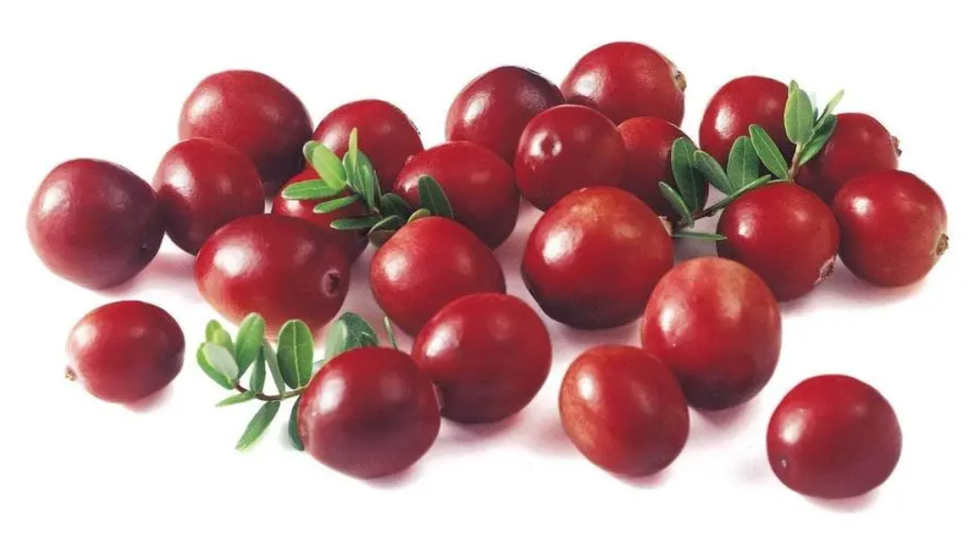 国际公认的4种抗乙肝食物，有天然抗病毒作用