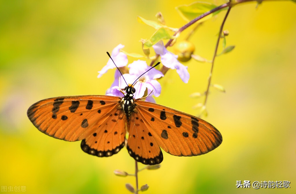 盘点我做自媒体三年的成就，说说我的成长心路历程和做法