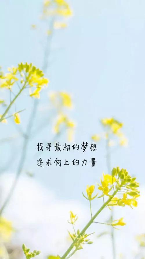 自媒体干货分享，在今日头条实现财务自由，梦想会被坚持的人实现