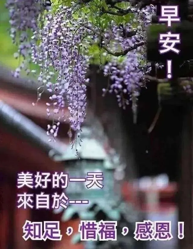 「2021.12.16」早安心语,正能量励志短句子,早上好温馨语录图片