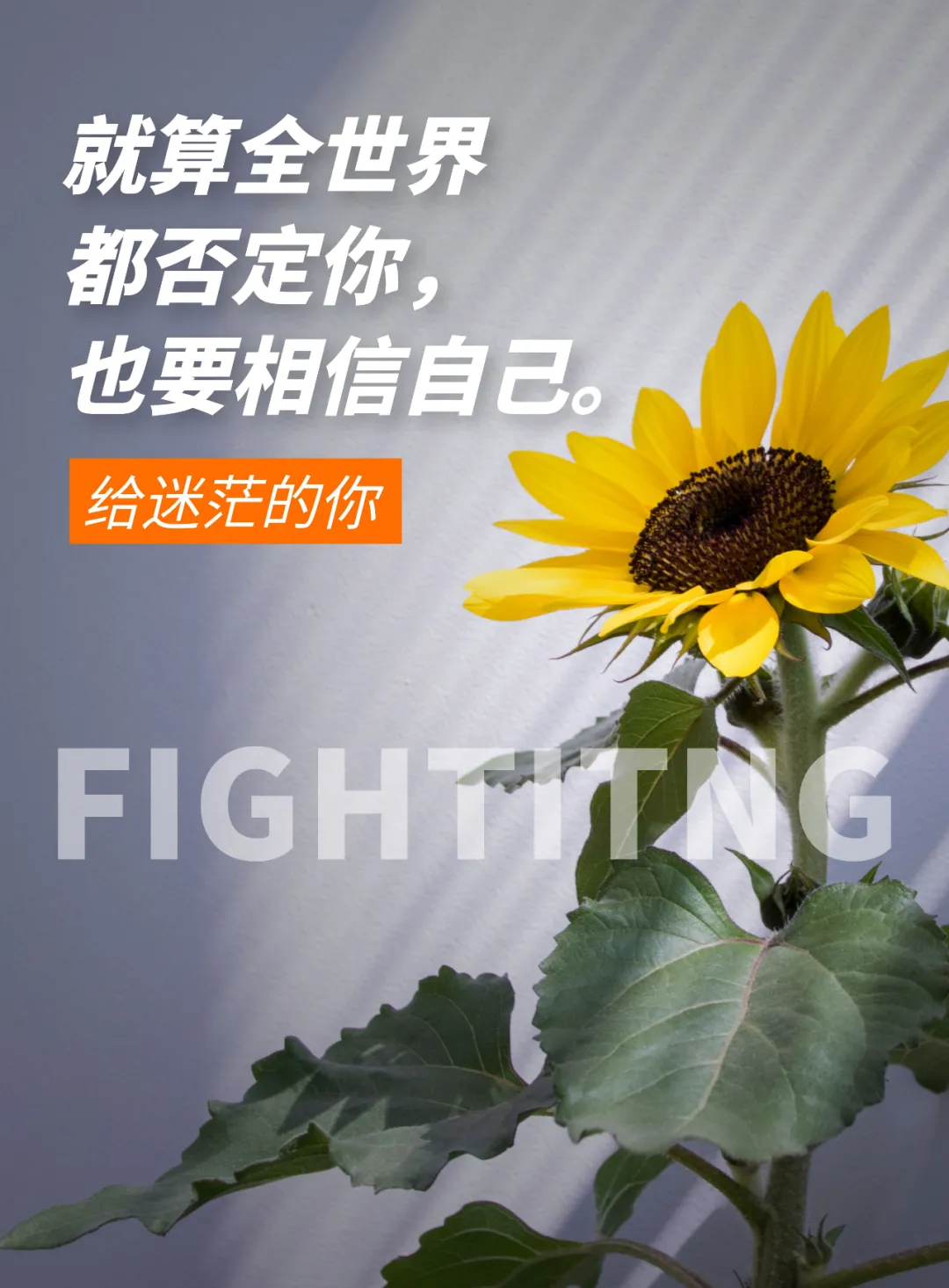 「2021.12.16」早安心语,正能量励志短句子,早上好温馨语录图片