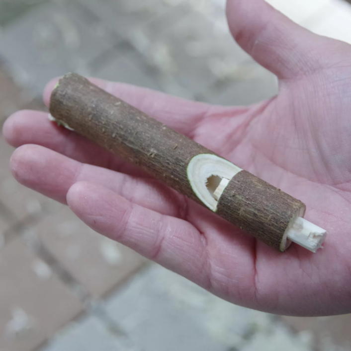 0元制作木哨子，户外丛林工艺！利用掉落的树枝，怀旧童年时光