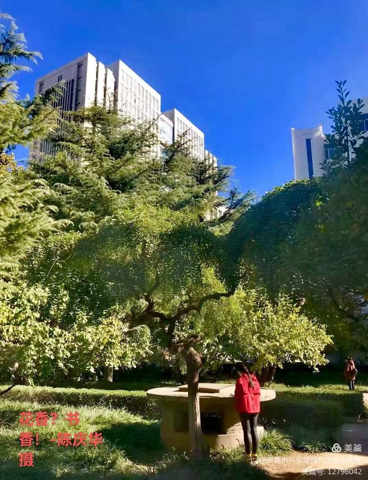铁十四师战友《辞旧迎新》网上联欢晚会专辑！美篇制作：张永学