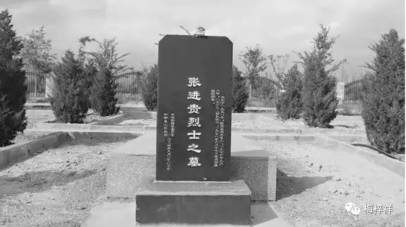 为陶福星战友《天山情》再版序 作者:梅梓祥