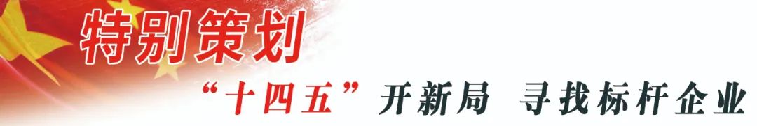 索风营发电厂：高质量党建引领，打造一流电厂，谱写绿色篇章