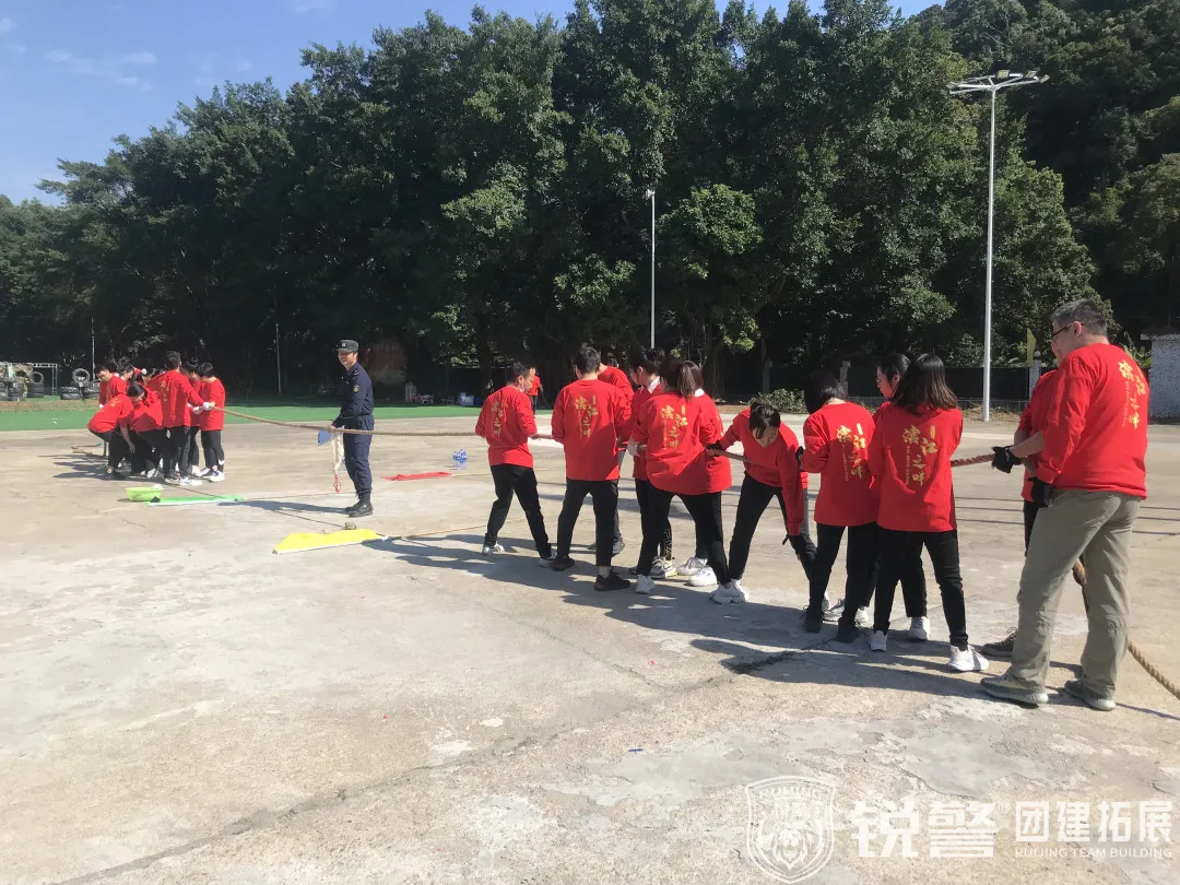 锐警团建：共创美好，再攀高峰，民生银行滨江东支行团建踏青活动