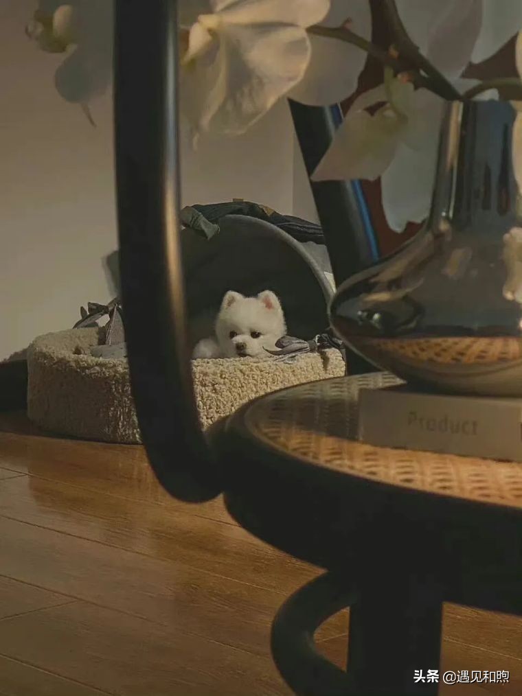 如果男人爱你入骨，他会变得“不像”他自己