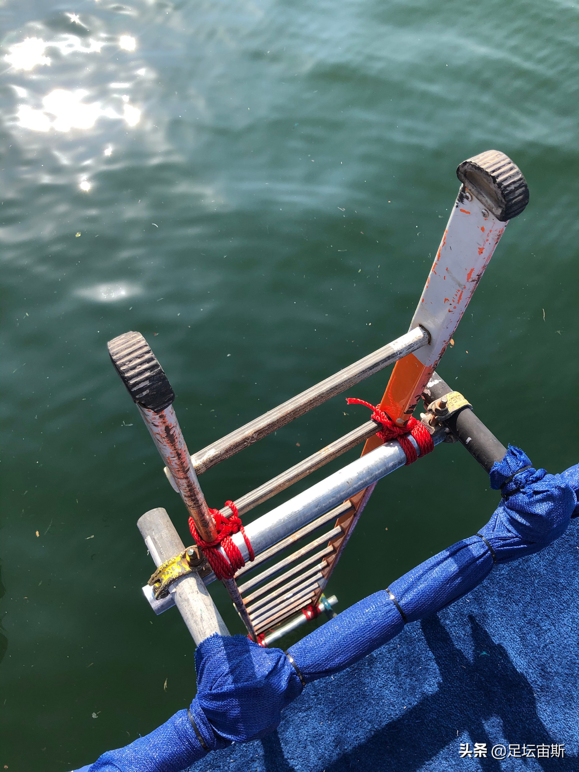 全红婵备战跳海表演，背小水壶比剪刀手，施廷懋踮脚搭肩全妹合影