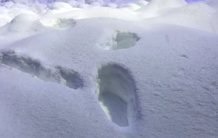 【夜读 · 散文】冰雪记忆