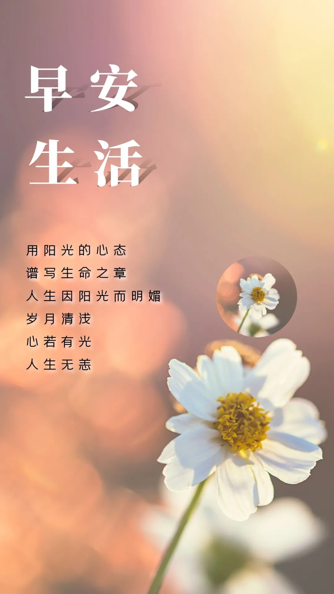 「2021.12.16」早安心语,正能量励志短句子,早上好温馨语录图片
