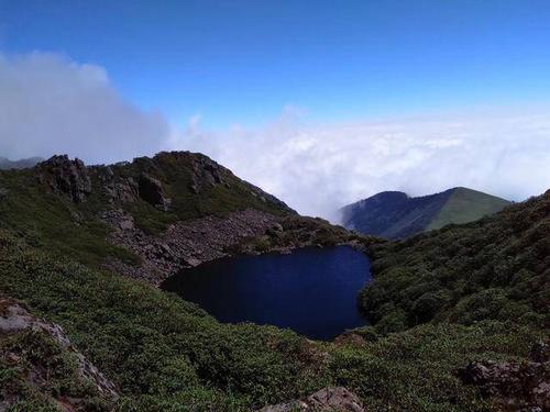 四川黑竹沟的未解的谜团：磁场让它蒙上了一层神奇的面纱