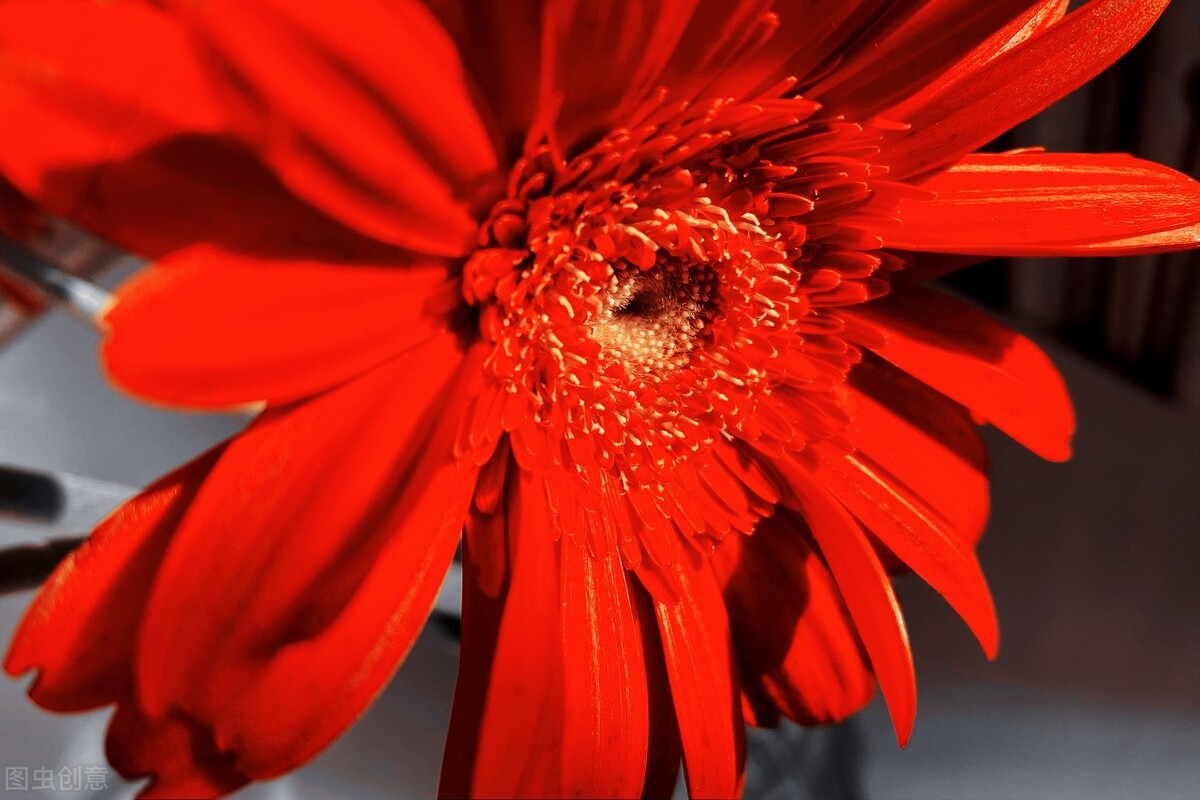 2021我从打工族到全职写作，从单篇0.47到7000元，收获远不止这些