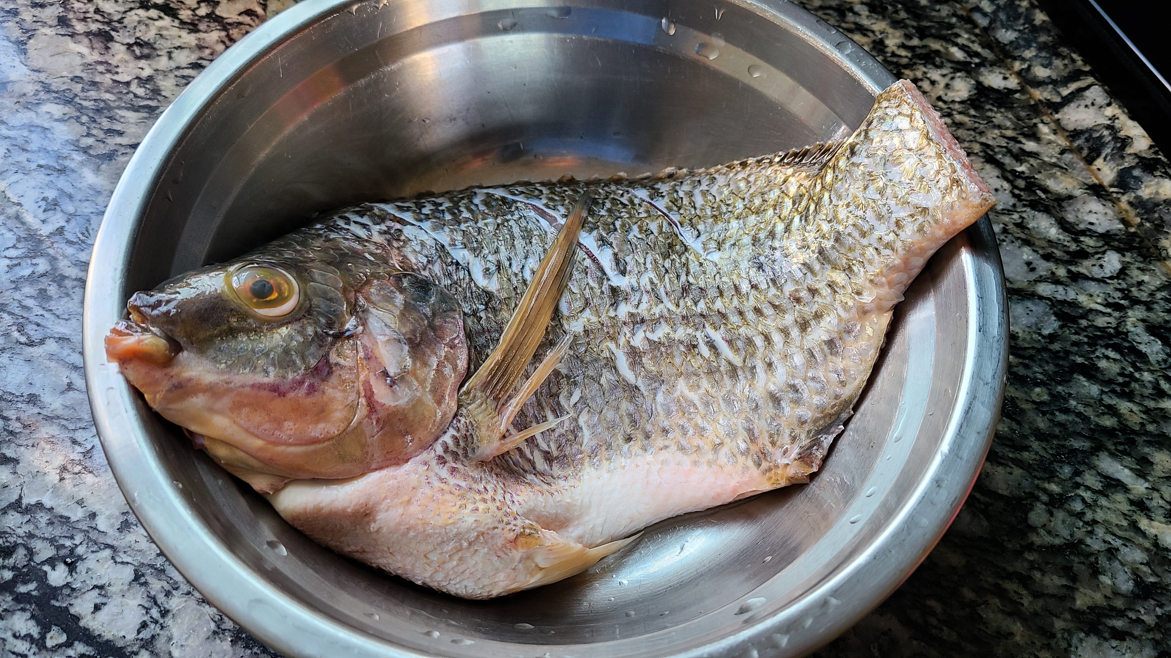 蒜香焗鱼这做法在广东出了名，老厨师教的一道菜，味香肉嫩