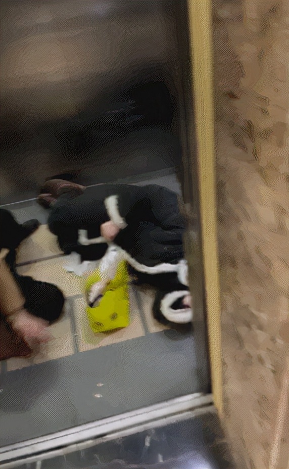安徽合肥一小区电梯从16楼坠落致多人受伤，伤者已被紧急送往医院