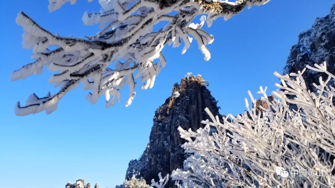 黄山雪后初霁,日出云海齐现美如仙境