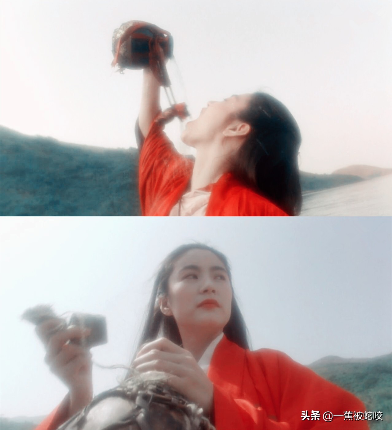 北美票房前十的华语电影：清一色动作片，新片没一个能打