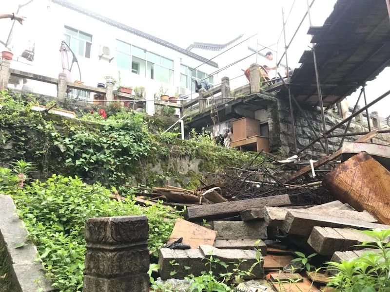 上海国际设计周艺术指导陈银松：沉湎于自然的温润视角来看待世界