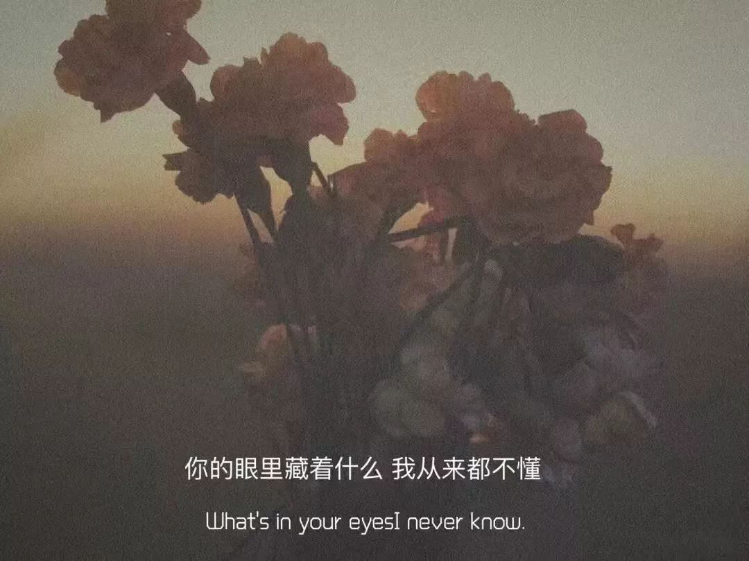 来说说什么是破镜重圆(破镜重圆发朋友圈需要说什么) -情感知识库-动