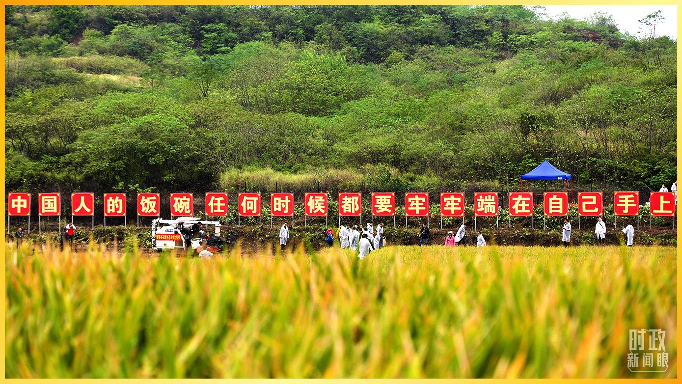 时政新闻眼丨“一起向未来”：读懂习近平主席2022年新年贺词