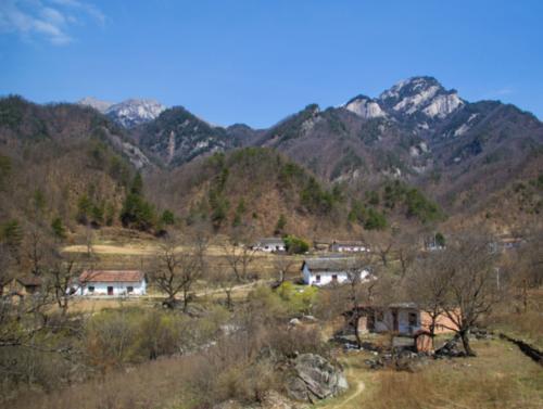 秦岭神奇事件：所有的活物都消失不见了