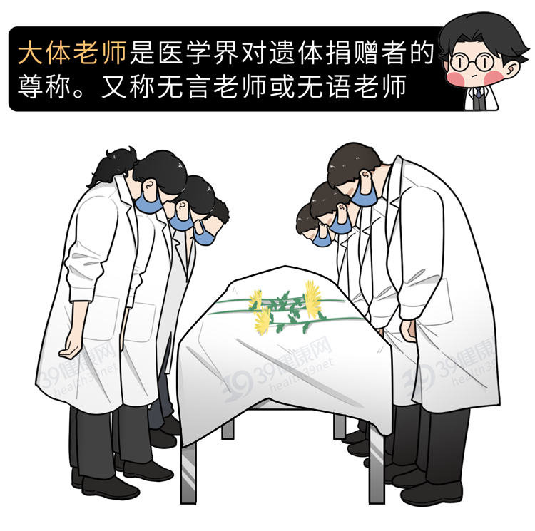 是土葬还是火葬？不用争了！盘点7种新葬法，终于不用占土地了